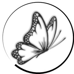 Phillp Hawkins Reiki Personal Development Training