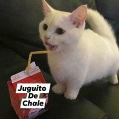 alv memes