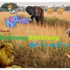 binatang binatang