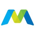 Multiview Financial Software