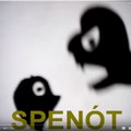 Aspyn