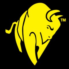 BISON Group
