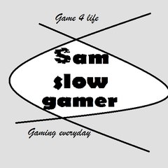 Sαᴍ slow gamer