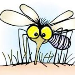 TheMosquito