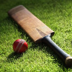 Cricket Videos