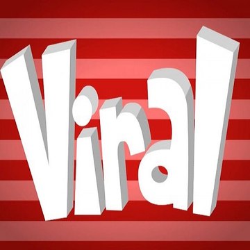 Best Viral Videos