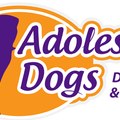 Adolescent Dogs TV