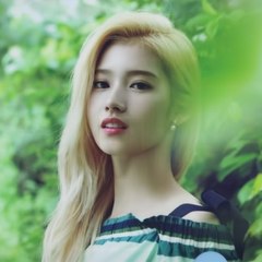 해외서버/온라인/인터넷/핸드폰/사설/안전/안전한/먹튀없는/라이센스/카지노/바카라