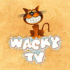Wacky TV