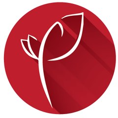 Phụ Nữ Việt Nam