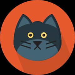 do you love cat?