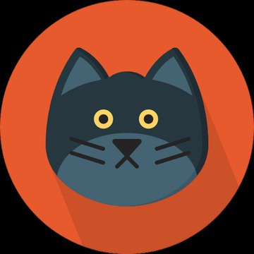 do you love cat?