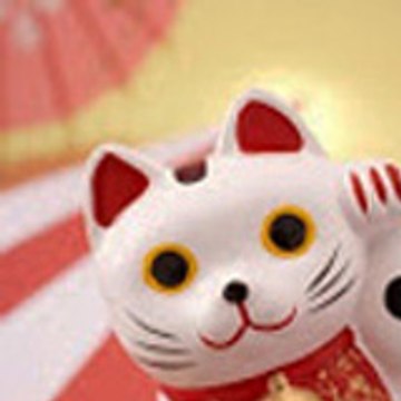 Fortune Kitty