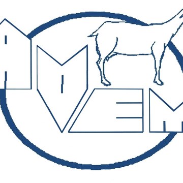 Avem-12