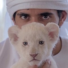 Rehan PK