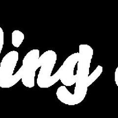 Wedding Suppliers