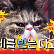 망치게임_ 탱크게임_01058551667