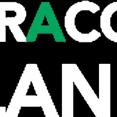 Register a company in ireland