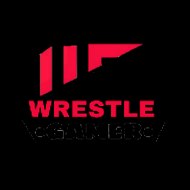 Wrestle gamer