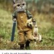 lets hunt togather