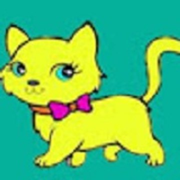 Funny Cats