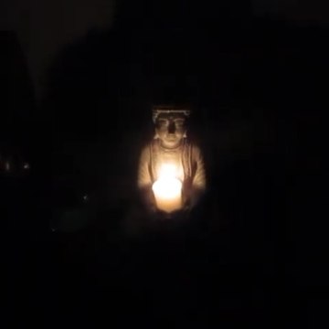 Shadow of the Buddha
