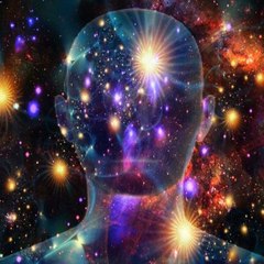 Universal Path