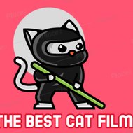 The best cat films