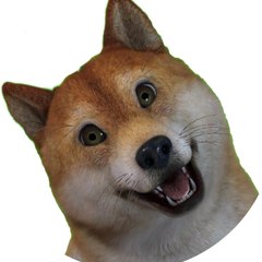 Woof2TV