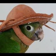 CULTURAL TUPY