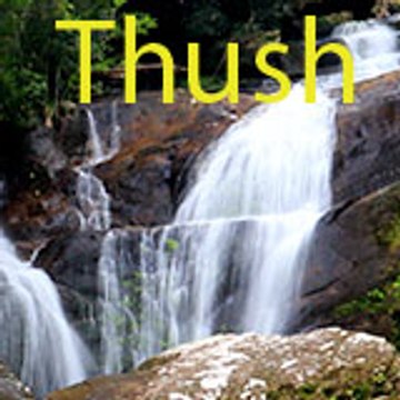 Thushara Entertainment