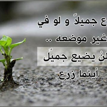 معلومات هامة
