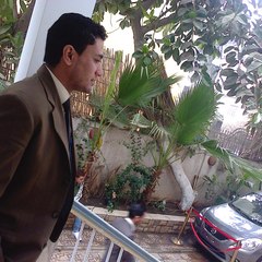 Abo Omar