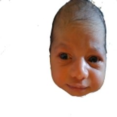 Funny vidz