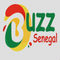 buzzsenegal