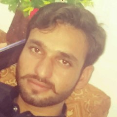 Waqas Ali