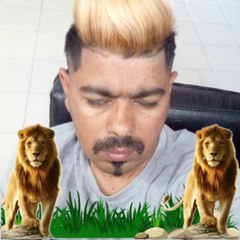 Lion star