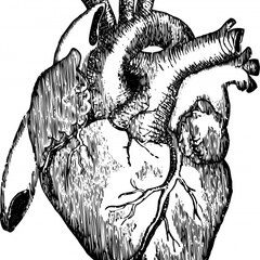 Shade Tree Cardiology