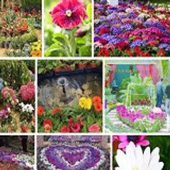 سالي للتسويق و المبيعات