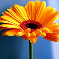 Las MEJORES IDEAS y MAS