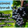 haber