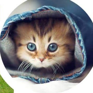 Pets lover-Animal lover