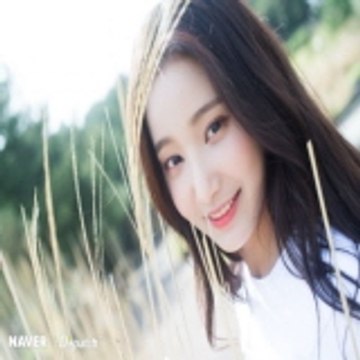 라이브배팅노하우 - vegas010.com
