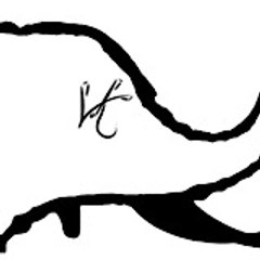 VVS Lifestyle Pictures