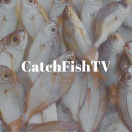 CatchFishTV