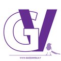 Gazzaviola