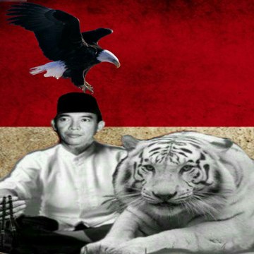 Vidio sunda