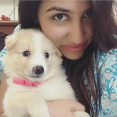 savita