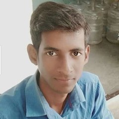 like shibu
