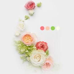 Serial Asiagram